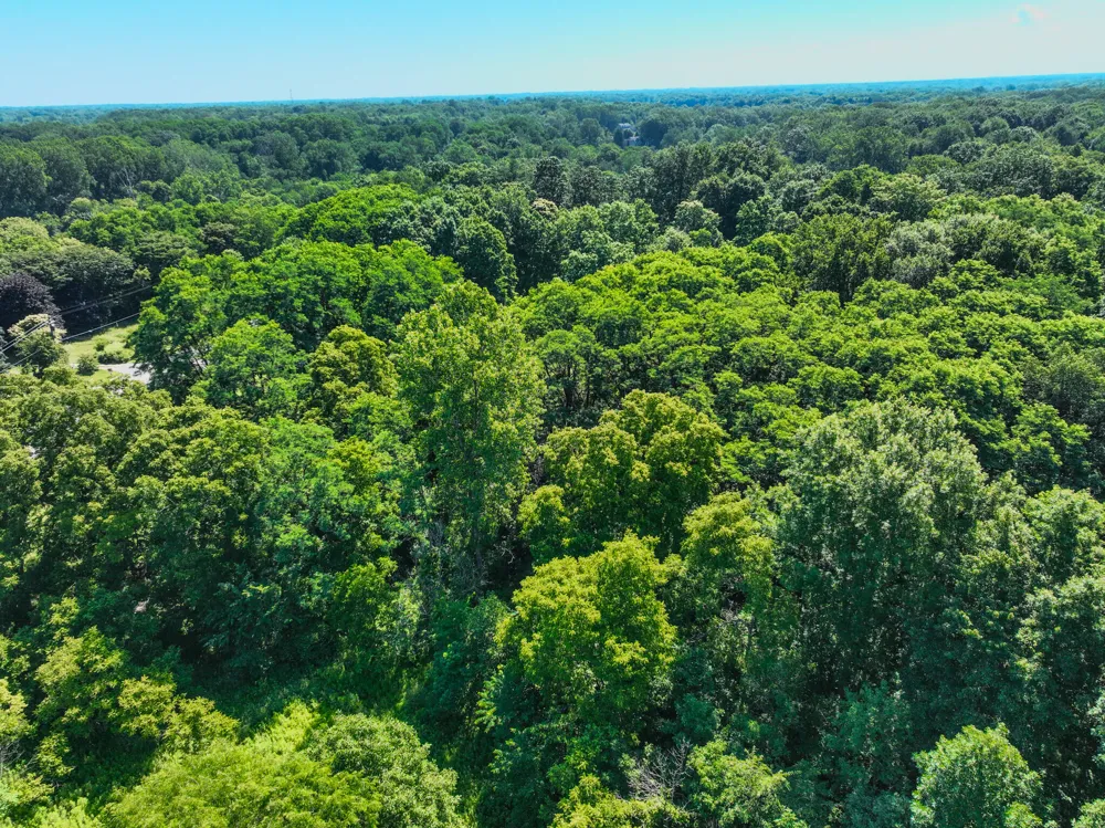 Sparling & Mayer Road #Lot- 4 Wales, MI 48027