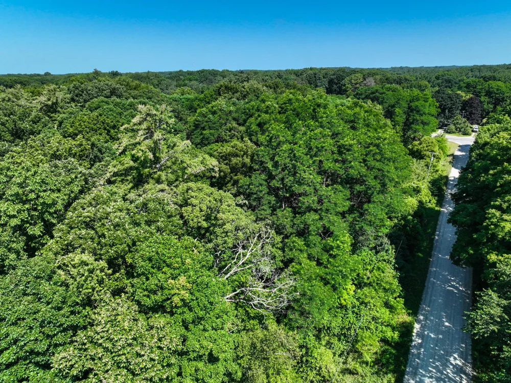 Sparling & Mayer Road #Lot- 4 Wales, MI 48027