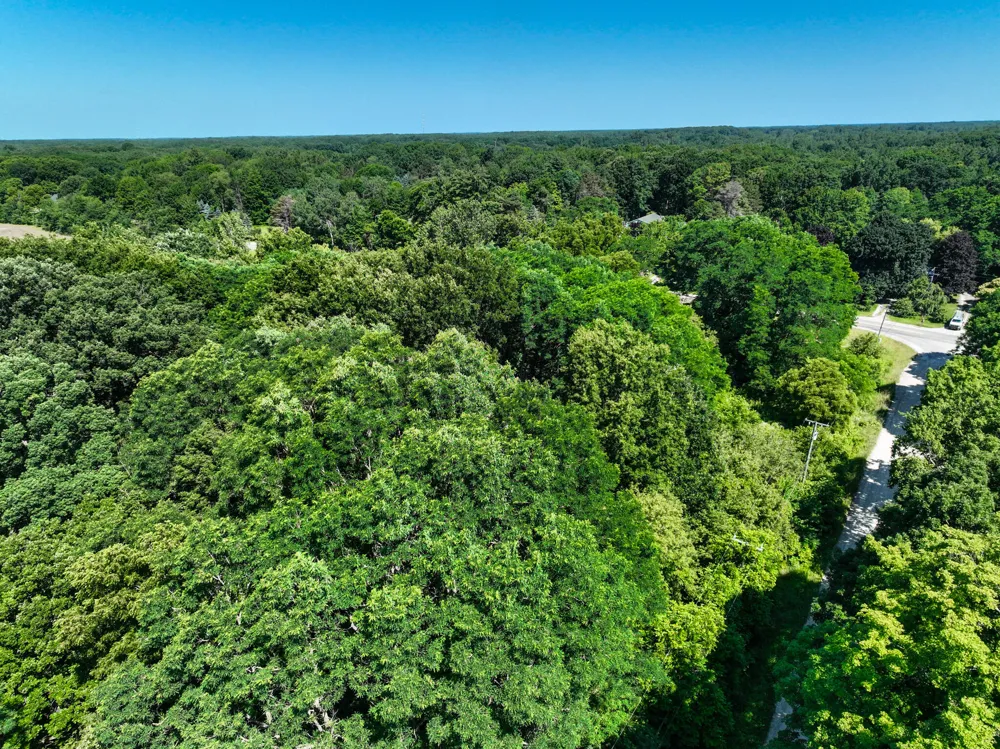 Sparling & Mayer Road #Lot- 4 Wales, MI 48027