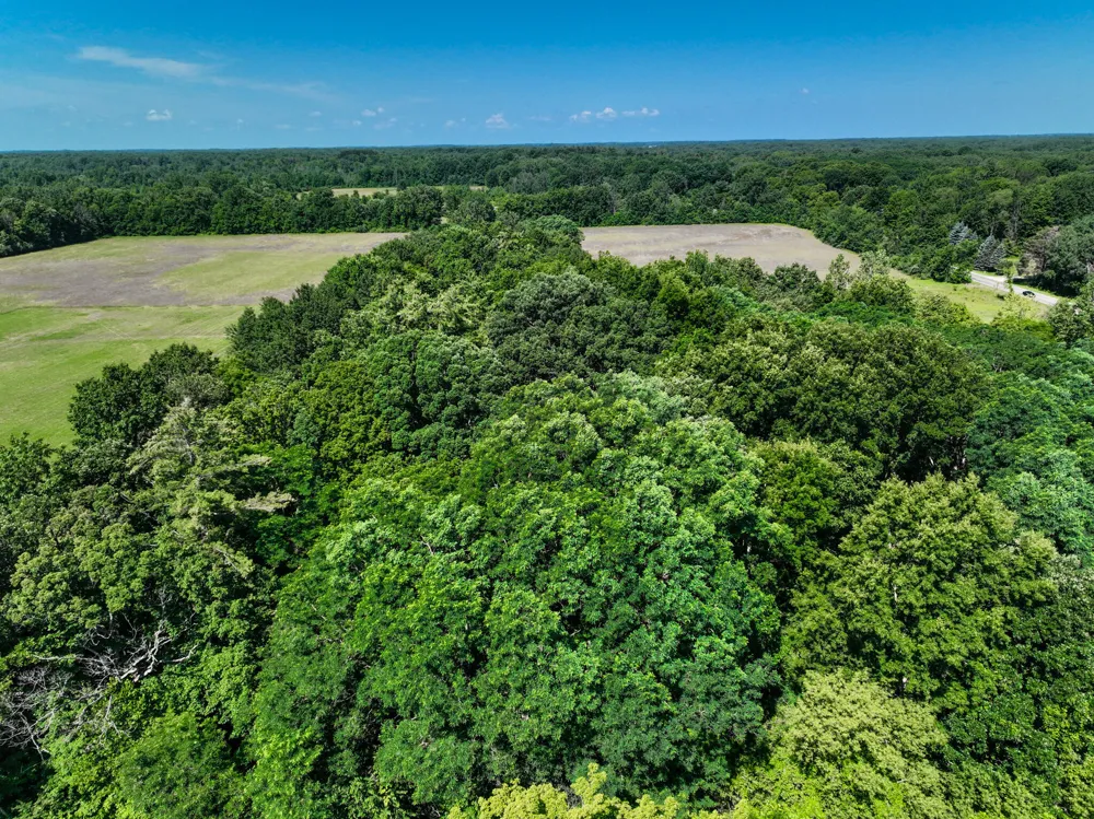 Sparling & Mayer Road #Lot- 4 Wales, MI 48027