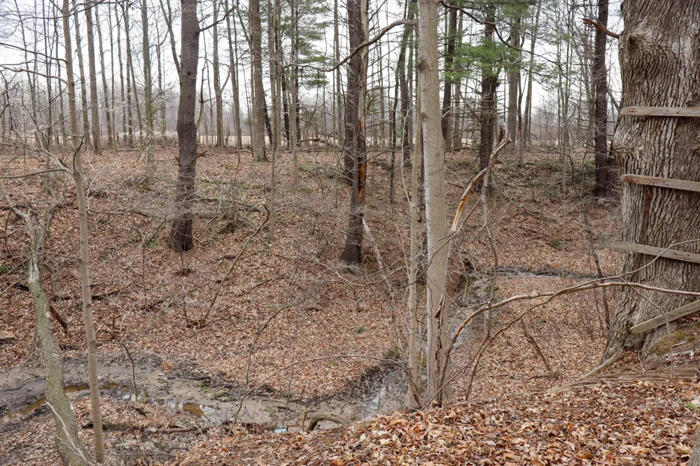 Sparling & Mayer Road #Lot- 4 Wales, MI 48027
