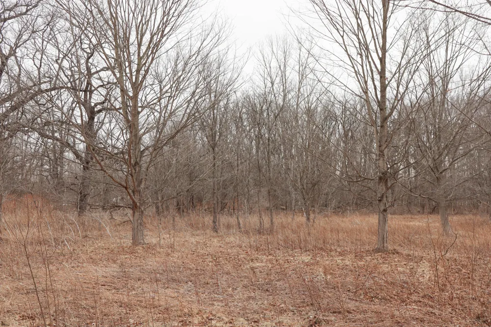Sparling & Mayer Road #Lot- 4 Wales, MI 48027