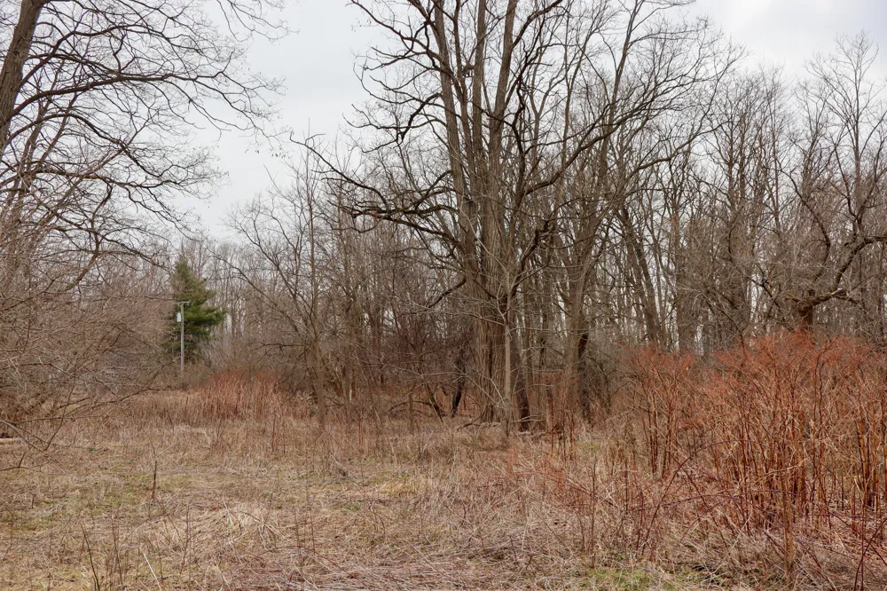 Sparling & Mayer Road #Lot- 4 Wales, MI 48027
