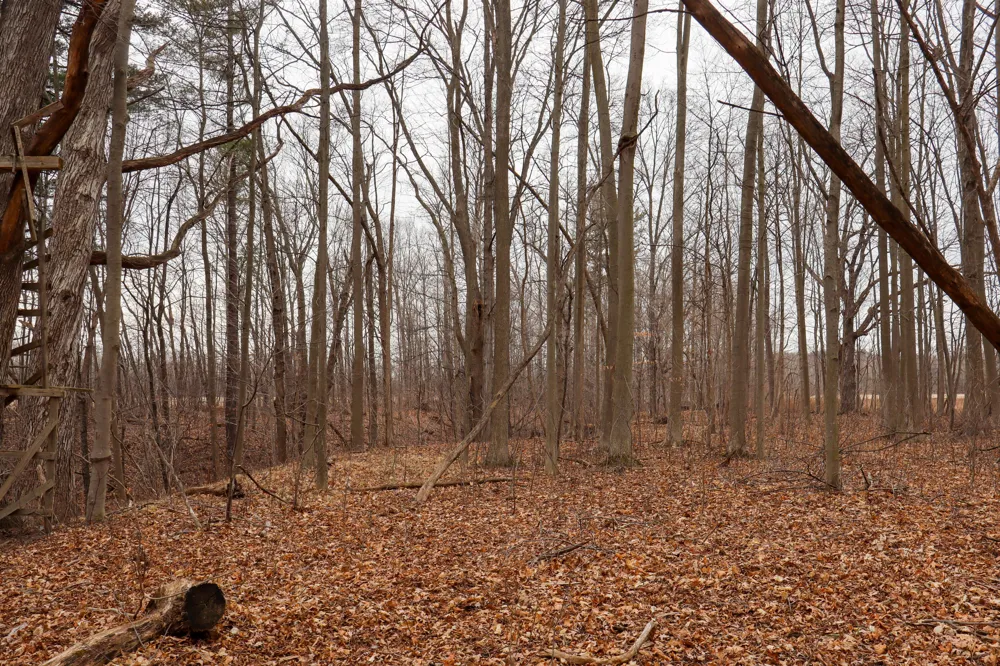 Sparling & Mayer Road #Lot- 4 Wales, MI 48027
