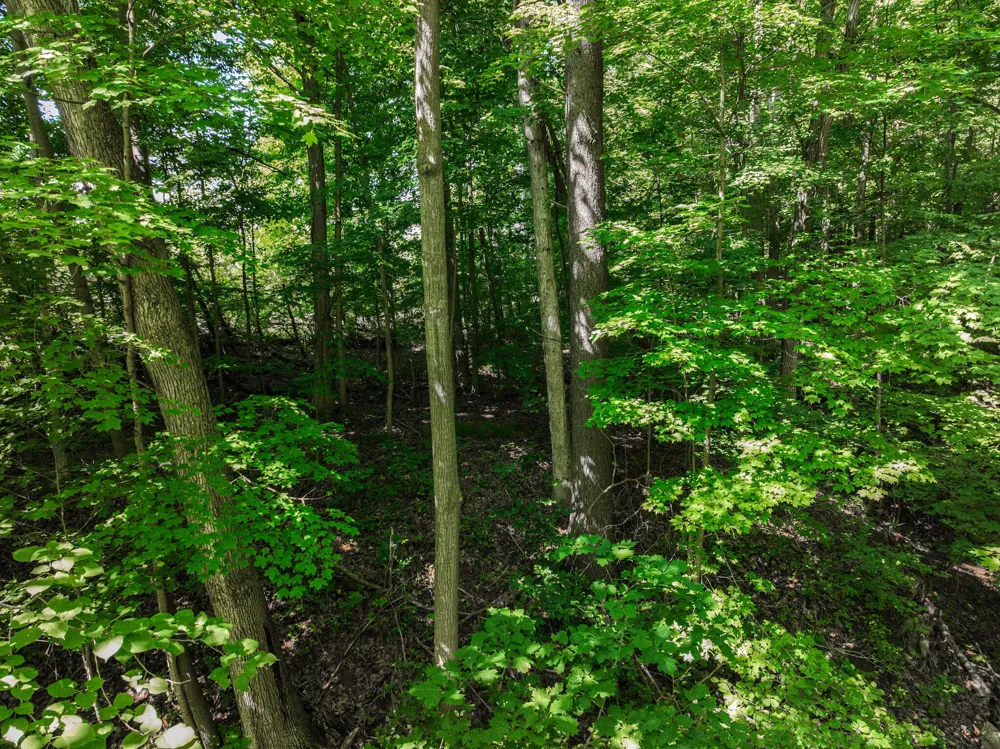 Sparling & Mayer Road #Lot- 4 Wales, MI 48027