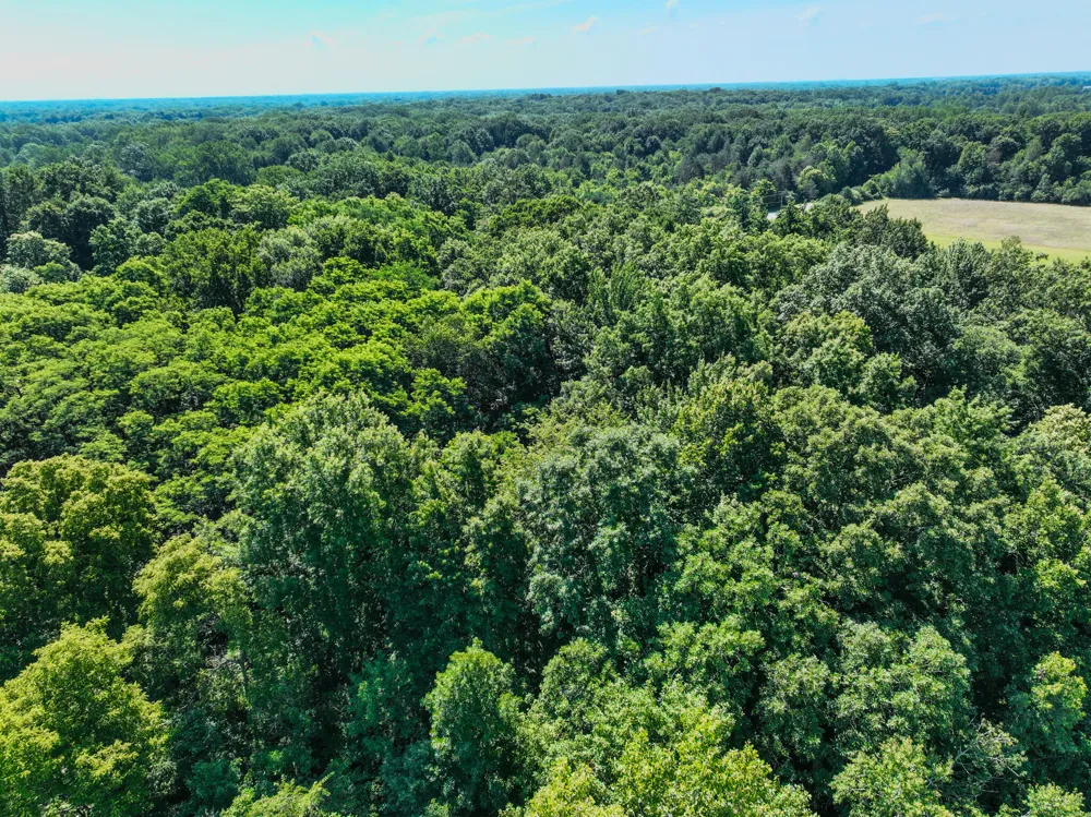 Sparling & Mayer Road #Lot- 4 Wales, MI 48027