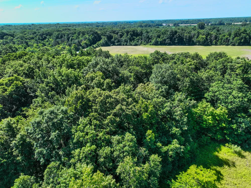 Sparling & Mayer Road #Lot- 4 Wales, MI 48027