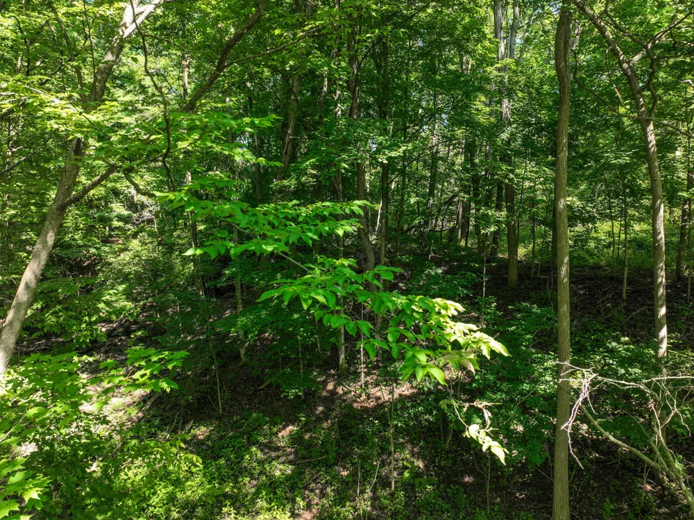 Sparling & Mayer Road #Lot- 4 Wales, MI 48027