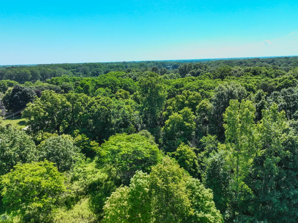 Sparling & Mayer Road #Lot- 4 Wales, MI 48027
