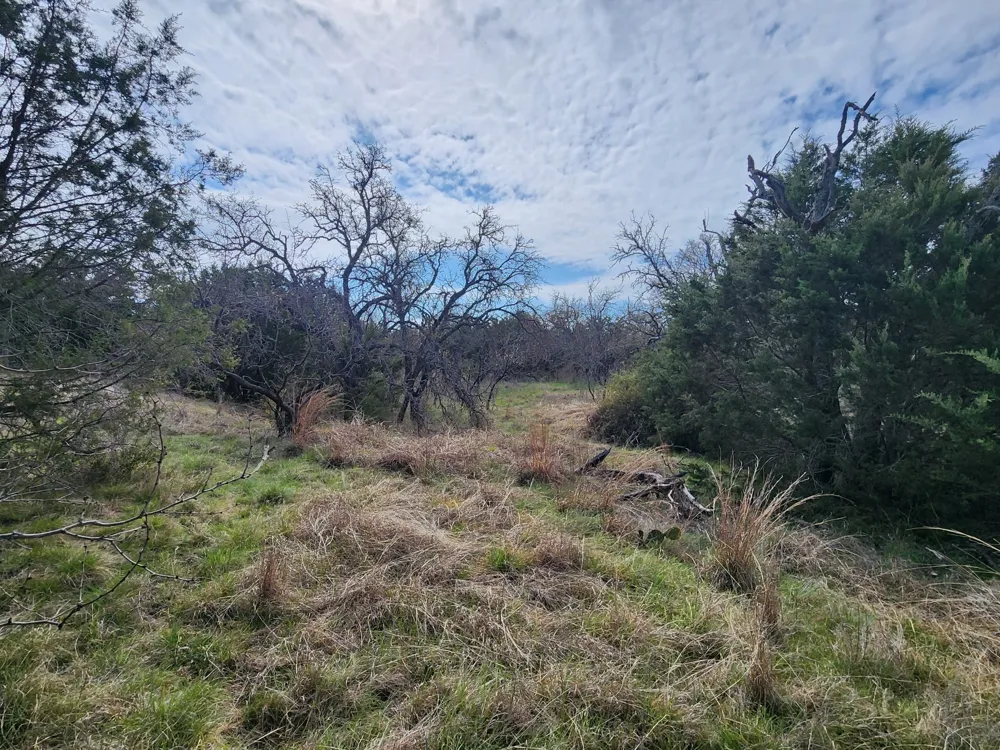 400 Blackjack Oak Drive Goldthwaite, TX 76844