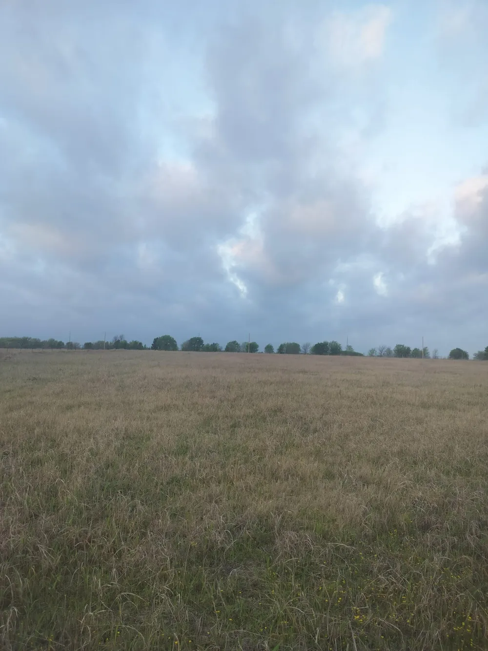 2834 St Hwy 81 Itasca, TX 76055