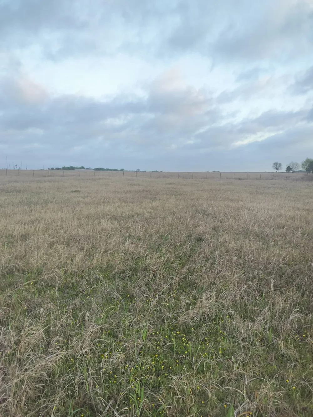 2834 St Hwy 81 Itasca, TX 76055