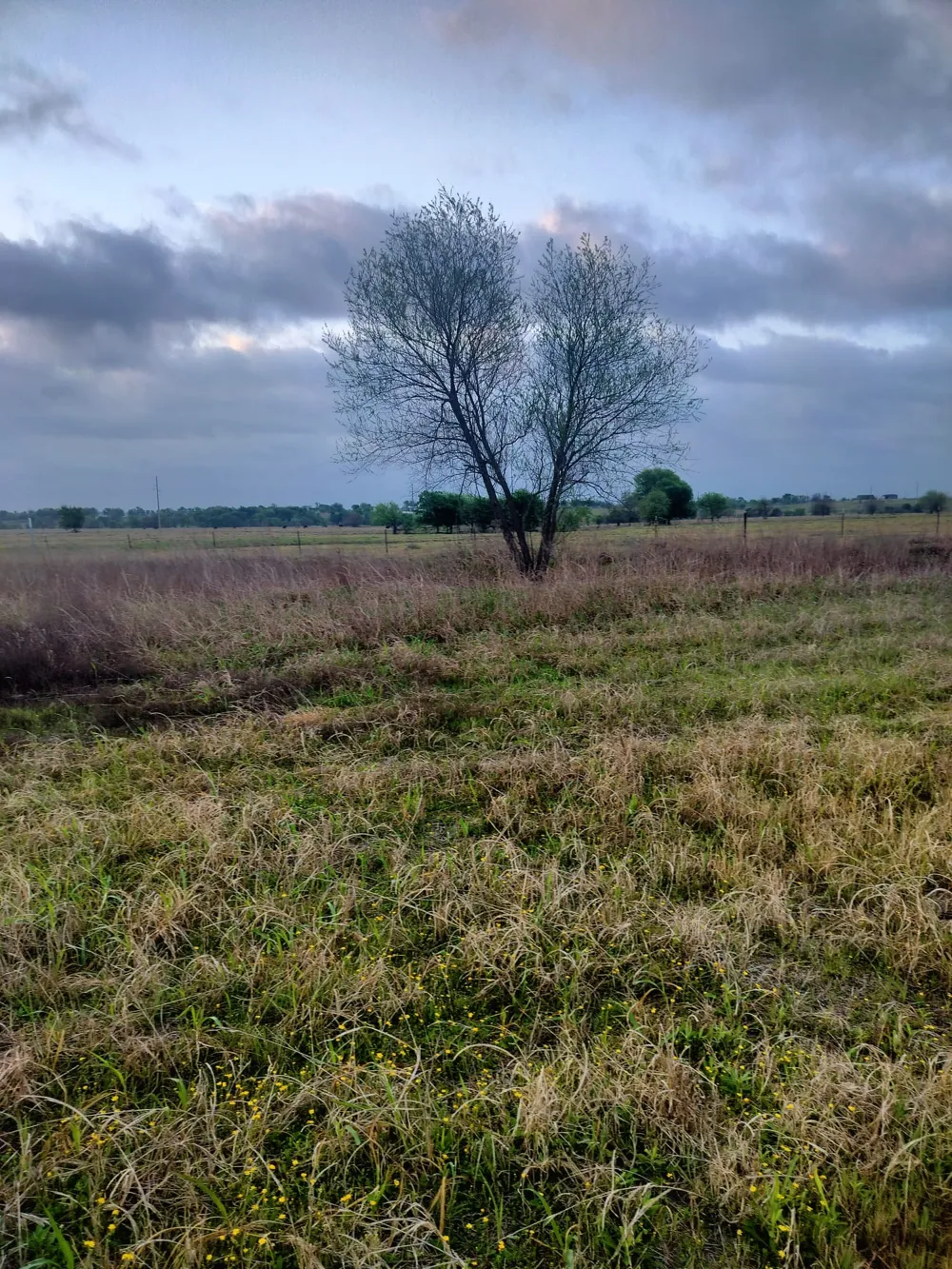 2834 St Hwy 81 Itasca, TX 76055