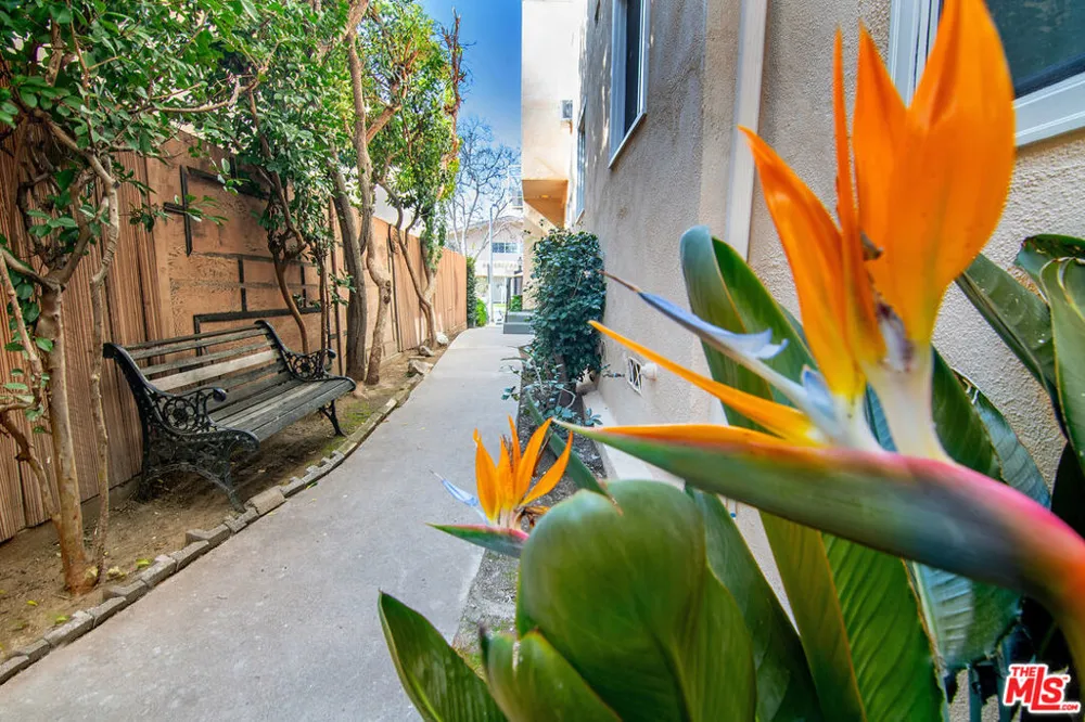 344 S Rexford Drive #4 Beverly Hills, CA 90212