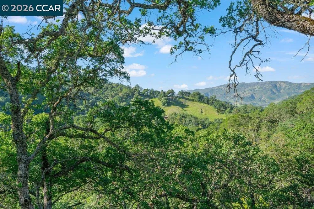 98 Oak Springs Dr Napa, CA 94558