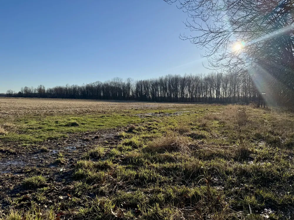 102 W Central Road Coldwater, MI 49036