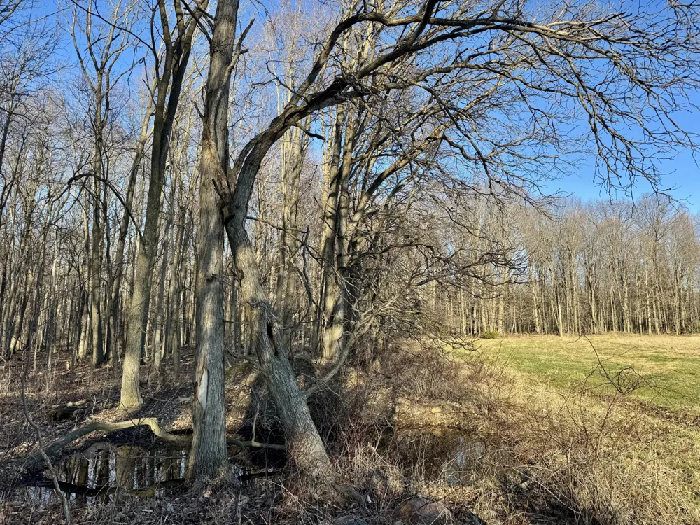 102 W Central Road Coldwater, MI 49036