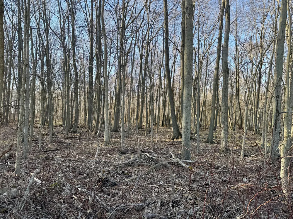 102 W Central Road Coldwater, MI 49036