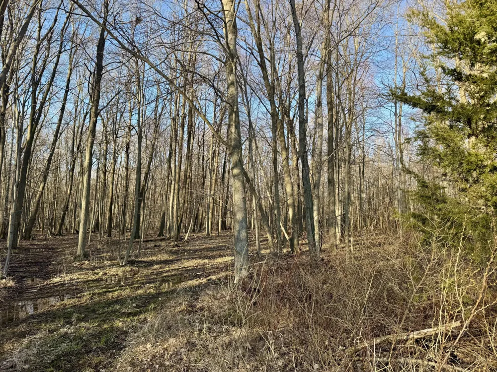 102 W Central Road Coldwater, MI 49036