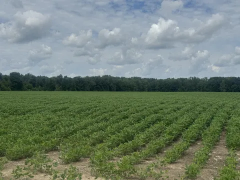 102 W Central Road