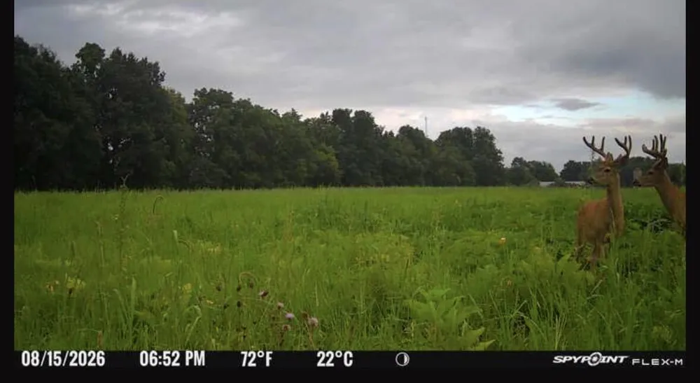 102 W Central Road Coldwater, MI 49036