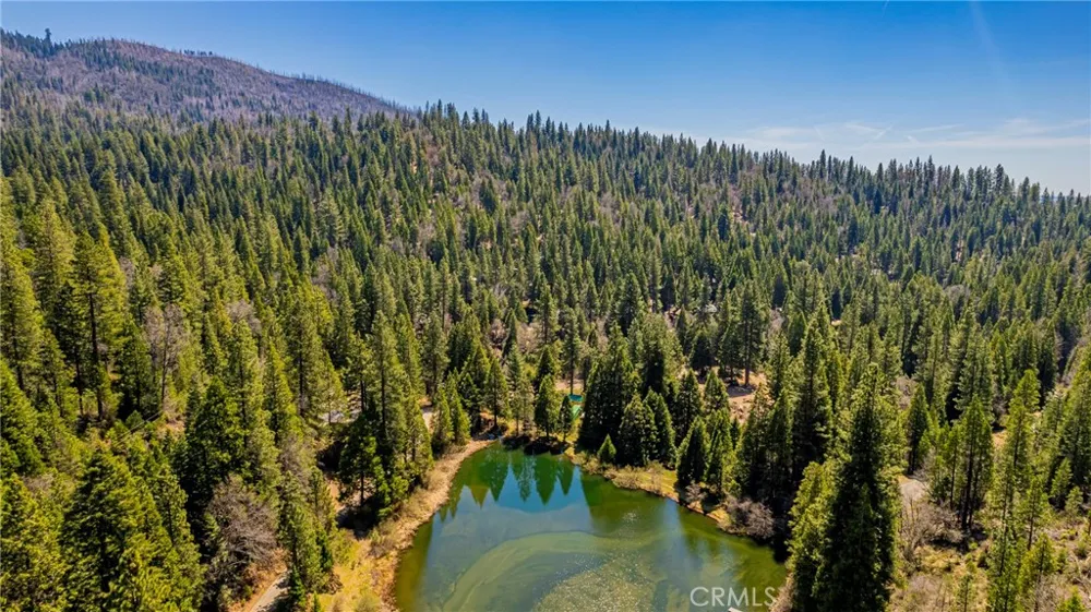 50054 Poplar Road Oakhurst, CA 93644