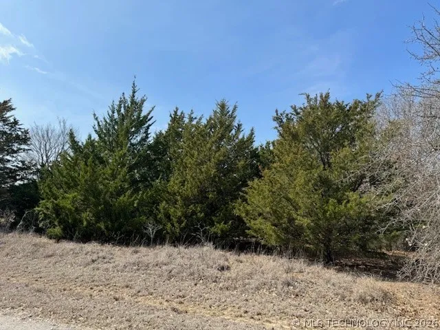 Tuscon Burneyville, OK 73430