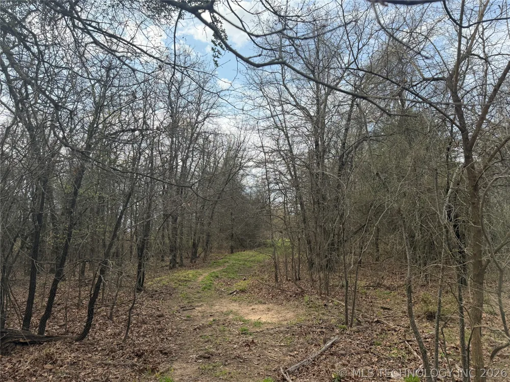 5 1960 ROAD Antlers, OK 74523