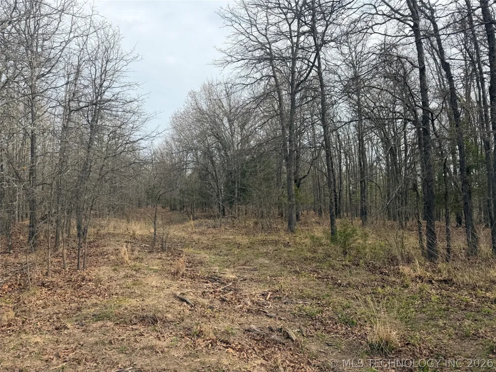 5 1960 ROAD Antlers, OK 74523