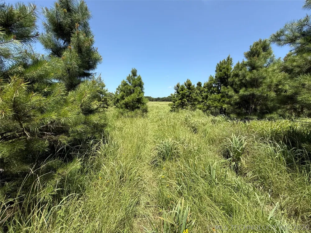 5 1960 ROAD Antlers, OK 74523