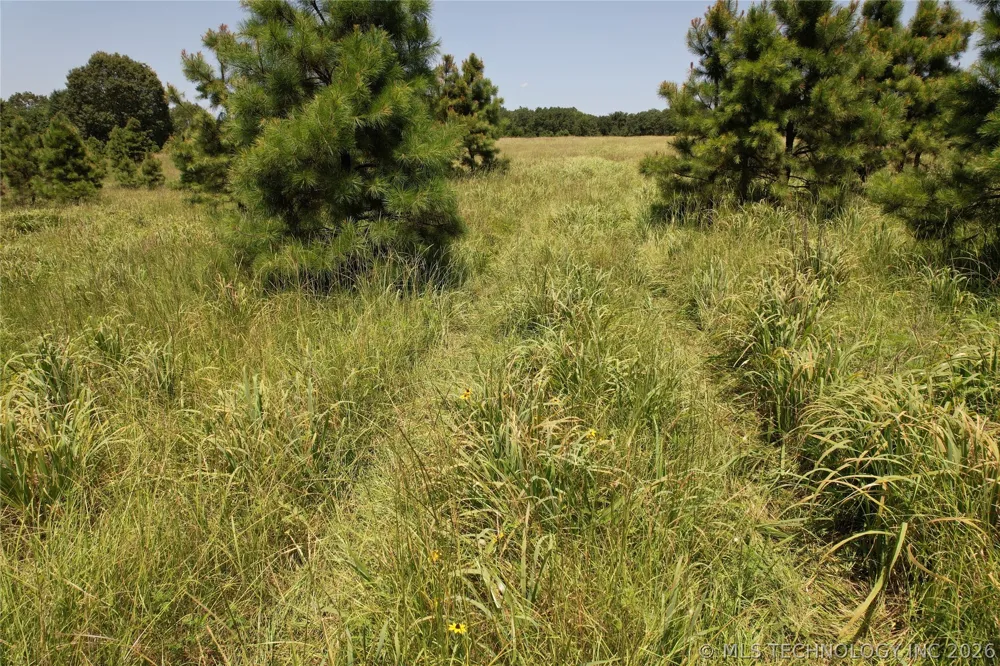 5 1960 ROAD Antlers, OK 74523