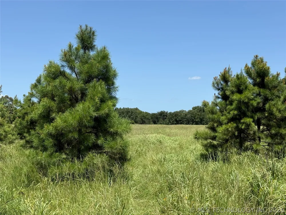 5 1960 ROAD Antlers, OK 74523