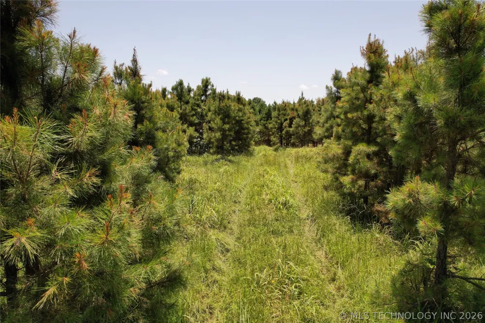 5 1960 ROAD Antlers, OK 74523