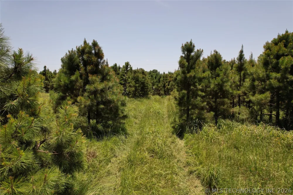 5 1960 ROAD Antlers, OK 74523