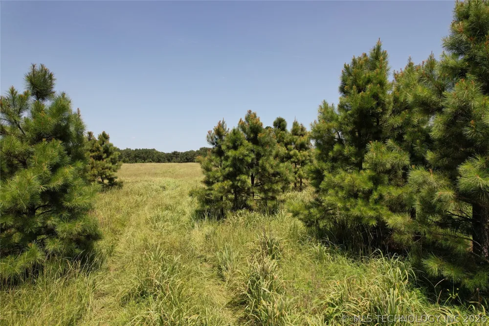 5 1960 ROAD Antlers, OK 74523
