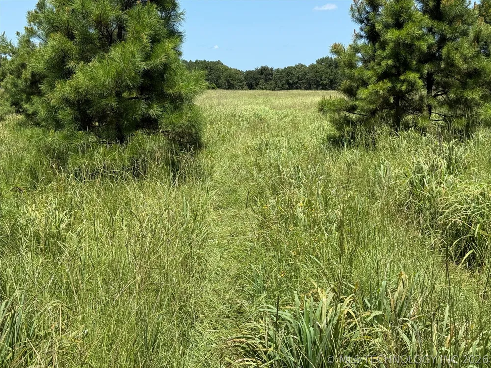 5 1960 ROAD Antlers, OK 74523