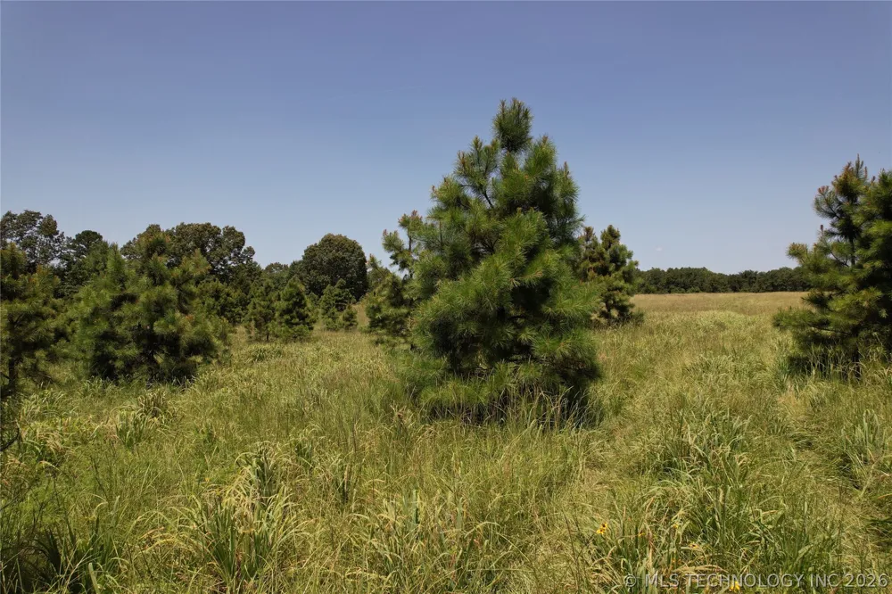 5 1960 ROAD Antlers, OK 74523