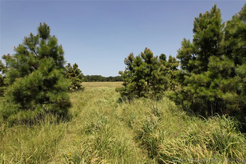 5 1960 ROAD Antlers, OK 74523