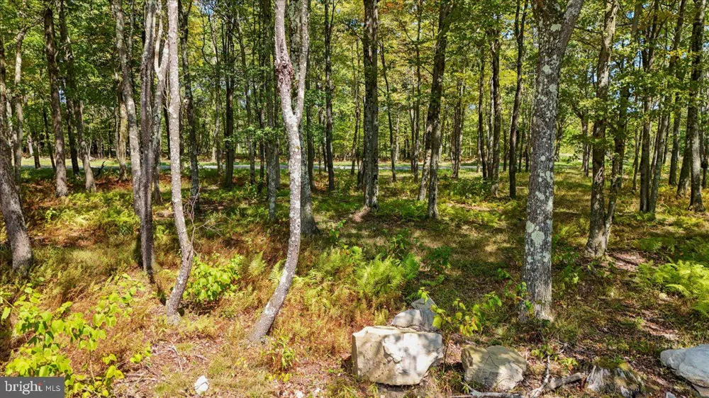 GREEN JACKET CT Mc Henry, MD 21541