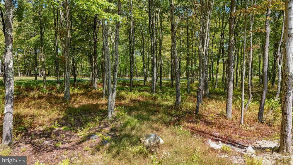 GREEN JACKET CT Mc Henry, MD 21541