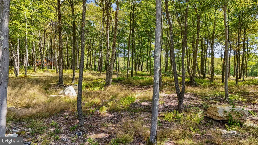 GREEN JACKET CT Mc Henry, MD 21541