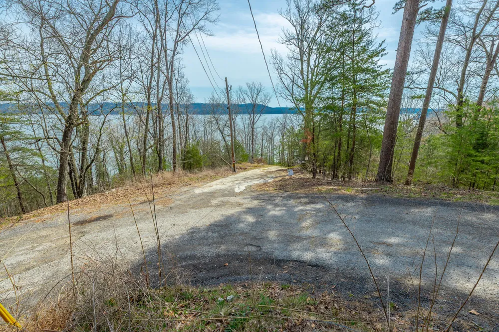 William Drive Spring City, TN 37381