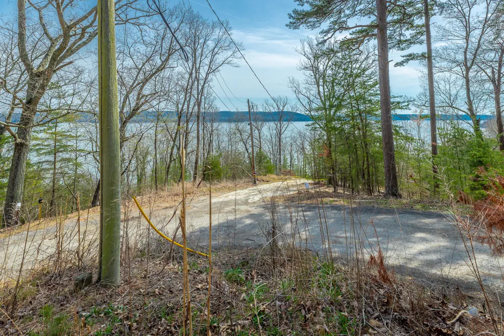 William Drive Spring City, TN 37381
