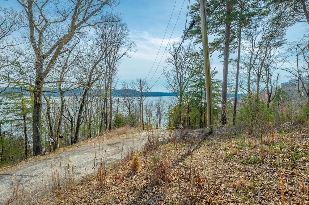 William Drive Spring City, TN 37381