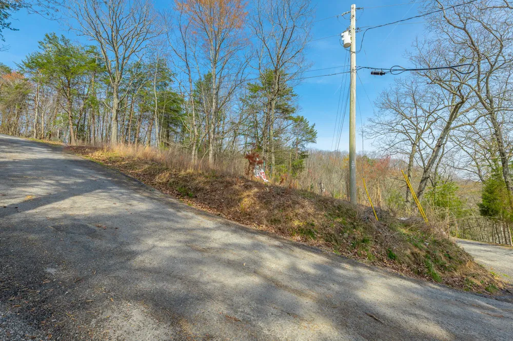 William Drive Spring City, TN 37381