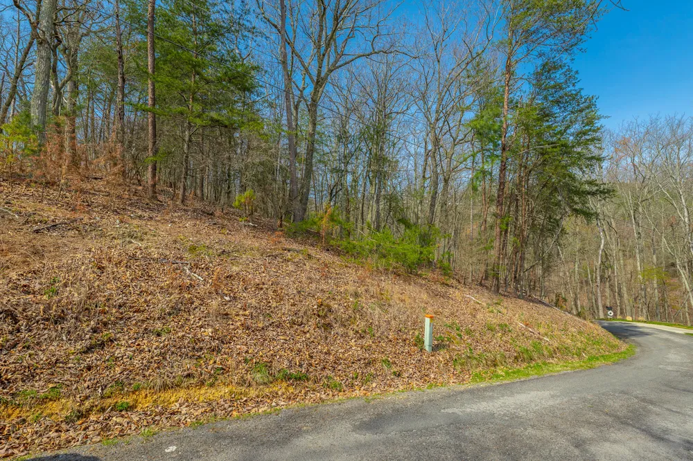 William Drive Spring City, TN 37381
