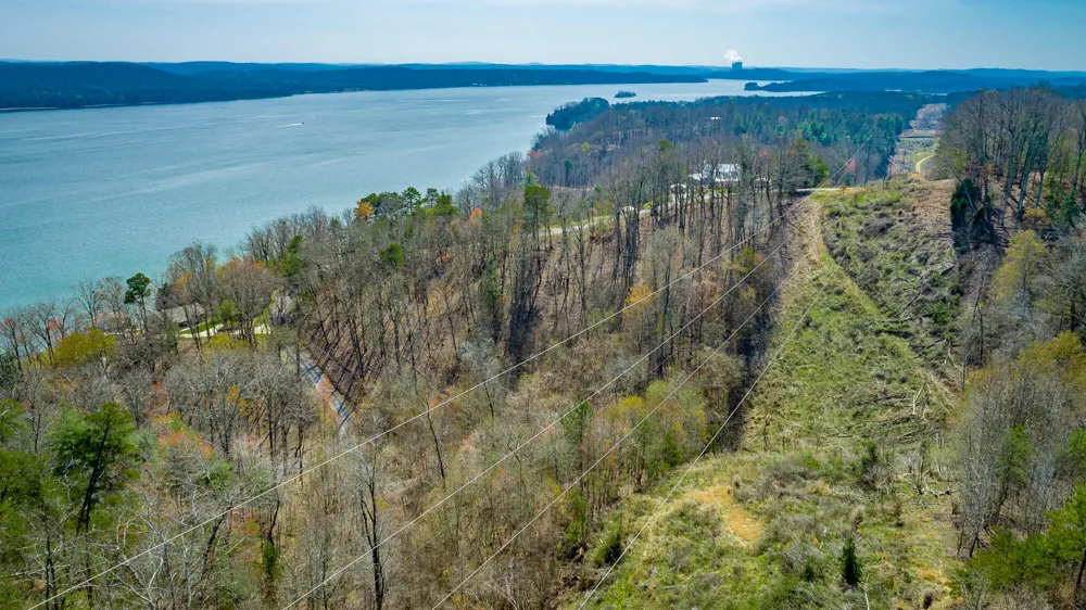 William Drive Spring City, TN 37381