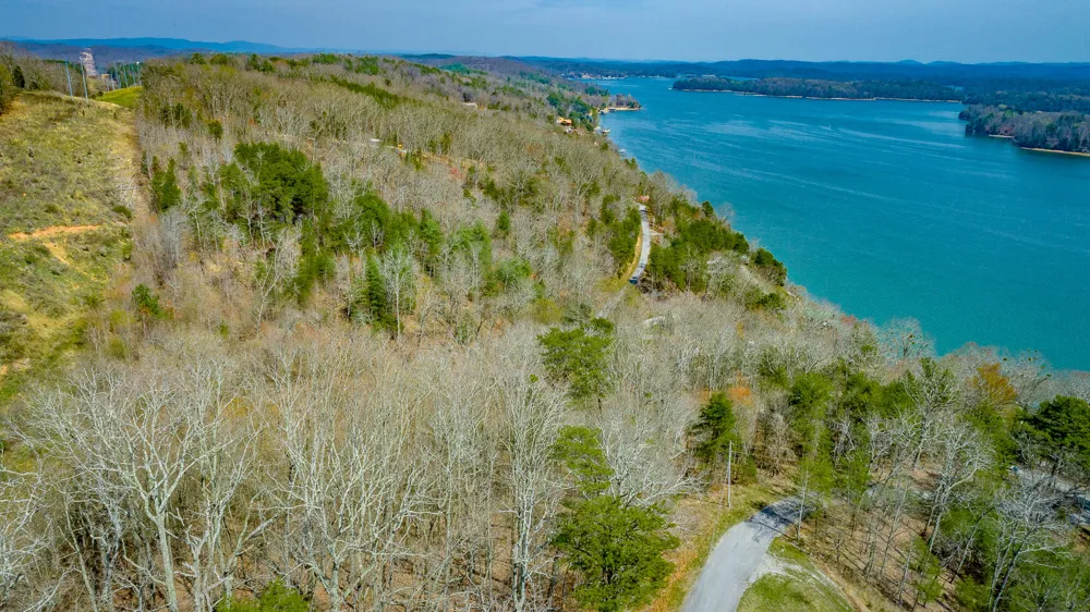 William Drive Spring City, TN 37381