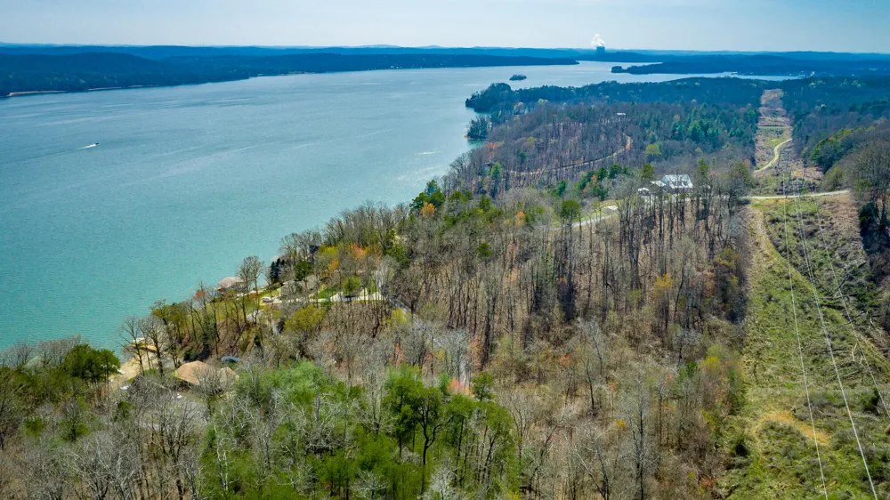William Drive Spring City, TN 37381
