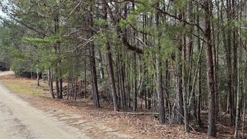 Lot 25 Pine Log Circle
